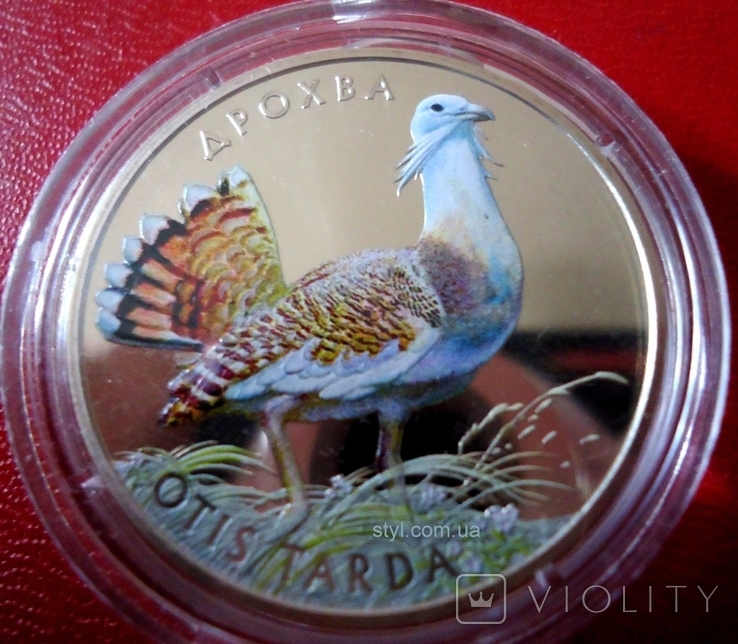 Дрохва 2013 Дрофа монета 2 грн цветная птица флора, фауна, фото №2