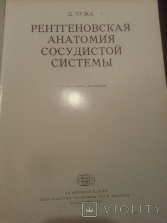 Рентгеновская анатомия сосудистой системы., фото №2