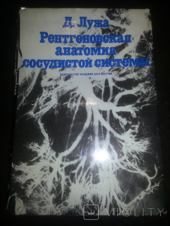 Рентгеновская анатомия сосудистой системы., фото №3