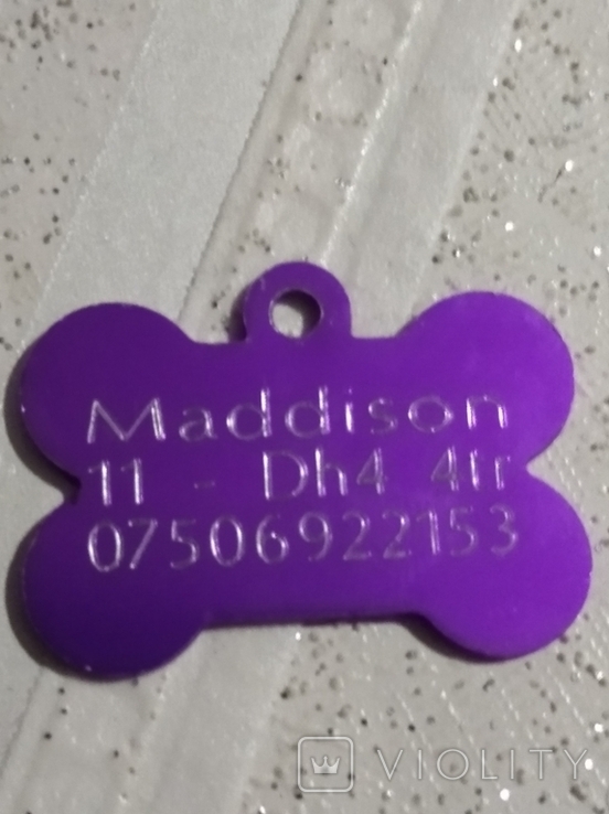 Dog Tag, photo number 3