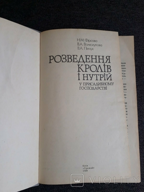 Розведення кролів і нутрій, фото №4