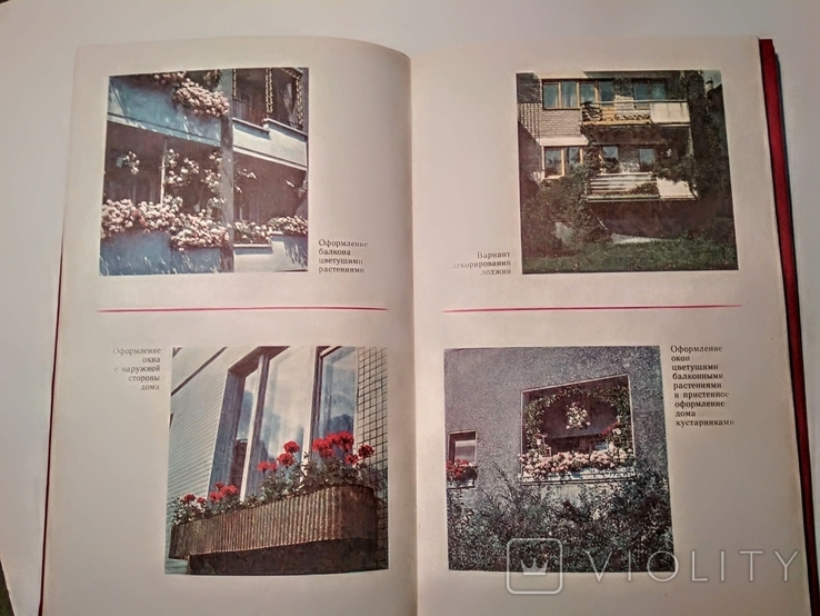 Цветы в комнате и на балконе .1985г., фото №9