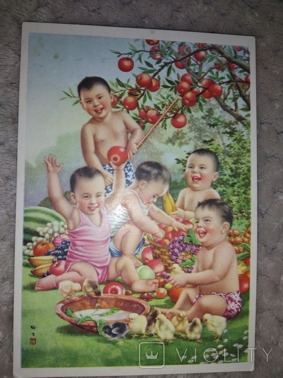 Китай, открытка 50-х г. Богатый урожай фруктов