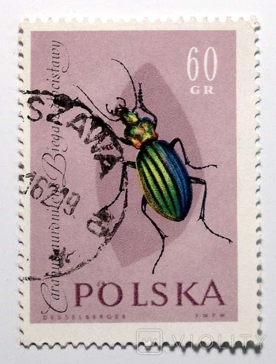 Польша Серия: Insects (1961)