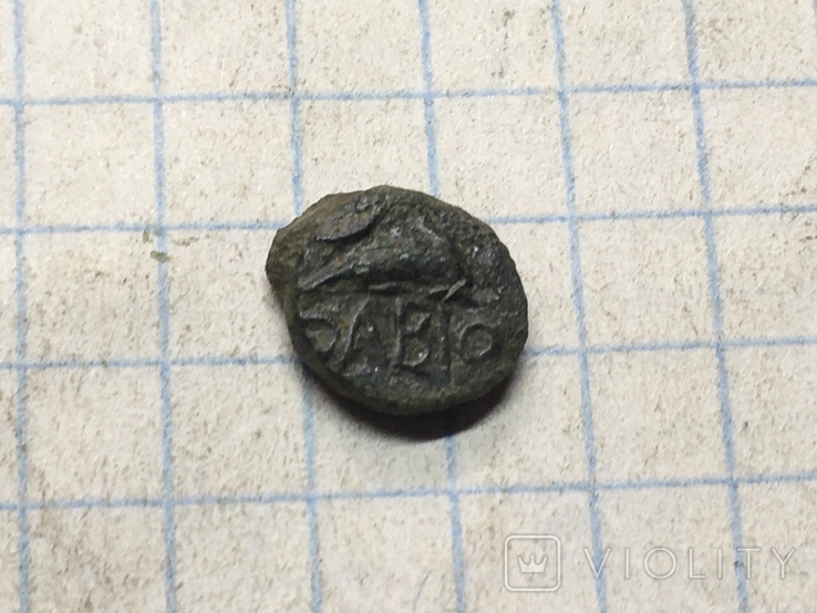 Монеты Ольвия (2), фото №7