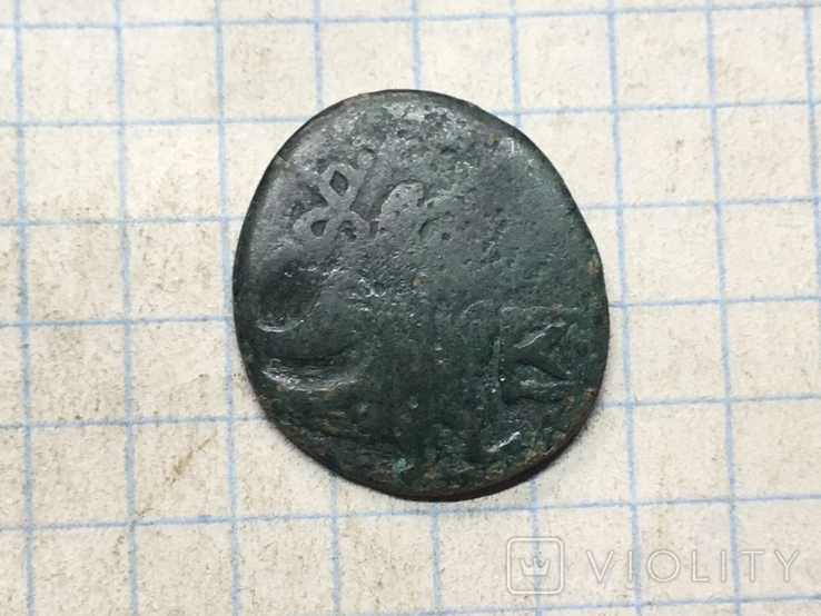Монеты Ольвия (3), фото №4