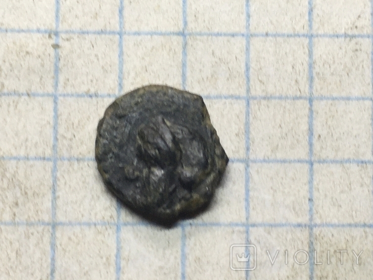 Монеты Ольвия (6), фото №2