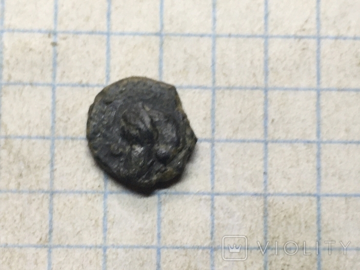 Монеты Ольвия (6), фото №3