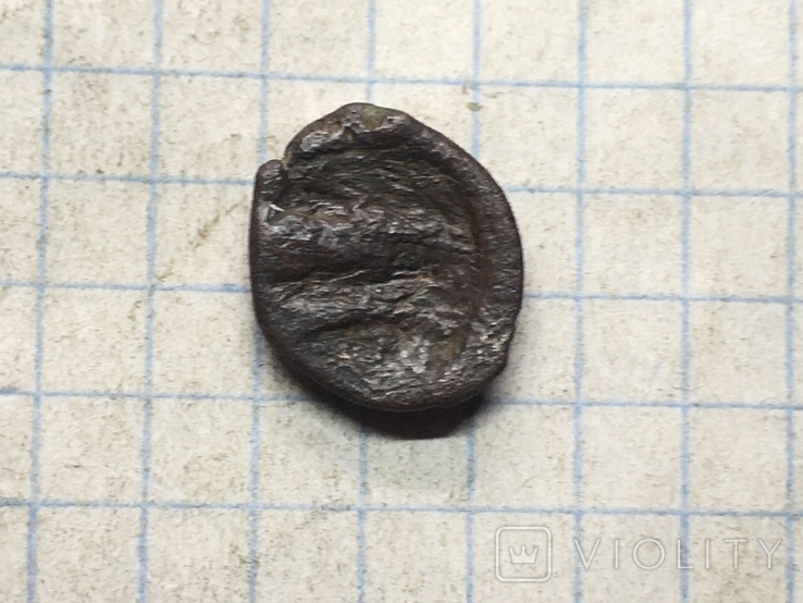 Монета Ольвия (11), фото №5