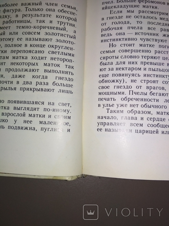 И.А.Шабаршов - В стране медоносных пчел, фото №12