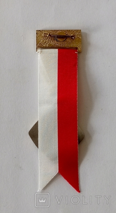 Медаль, 1971 г. Швейцария., фото №3