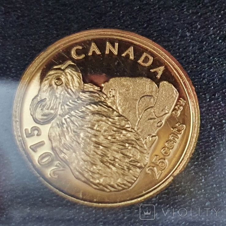 25 центов 2015 год, 9999 Canada, фото №5