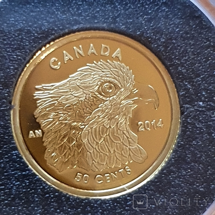 50 центов 2014 год, 9999 Canada