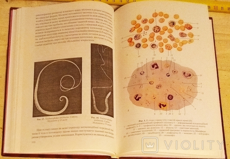 Торг медична та ветеринарна паразитологія 2003г. к 200-летию НФаУ новое, фото №6