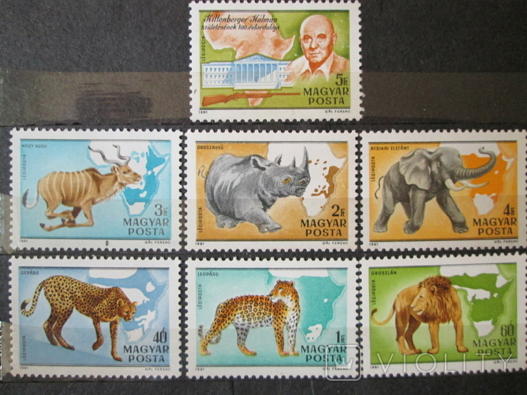 1981 г. Африканская фауна - 100 лет со дня рождения Кальмана Киттенбергера