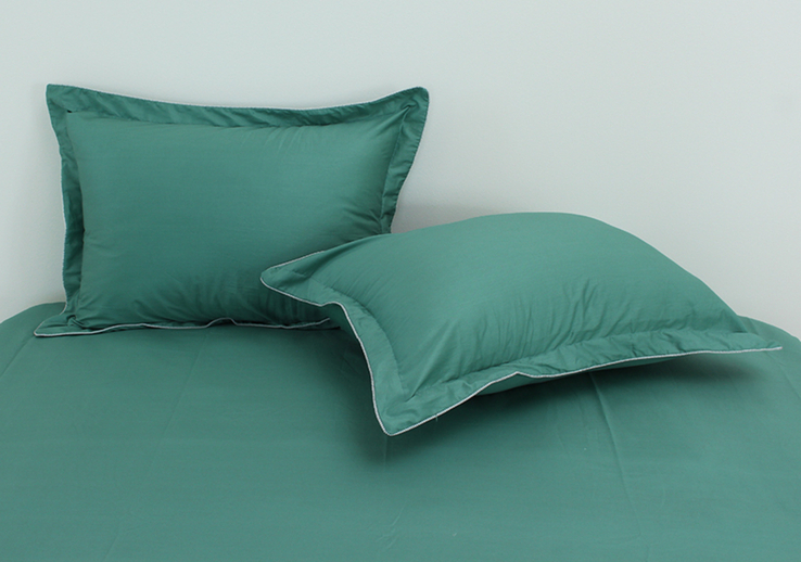 Набор Elegant евро Green (одеяло летнее облегченное), numer zdjęcia 4