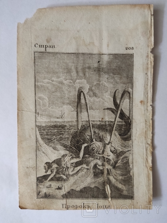 Книжная гравюра"Пророк Иона",13*18см, 1802 г, фото №2