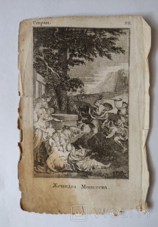Книжкова гравюра «Одруження Мойсея», 13 * 18см, 1802, фото №2