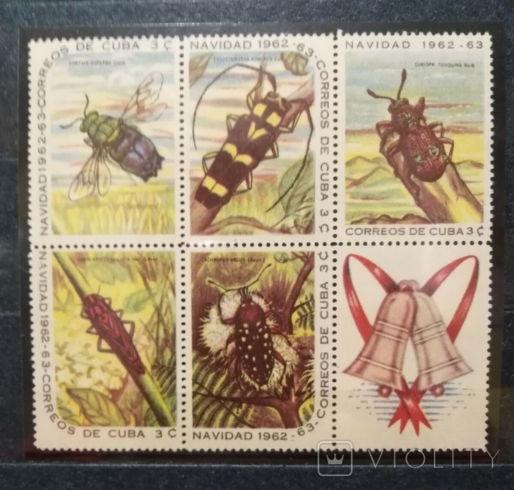 1962, Куба, ящерицы, выдры, насекомые, фото №4