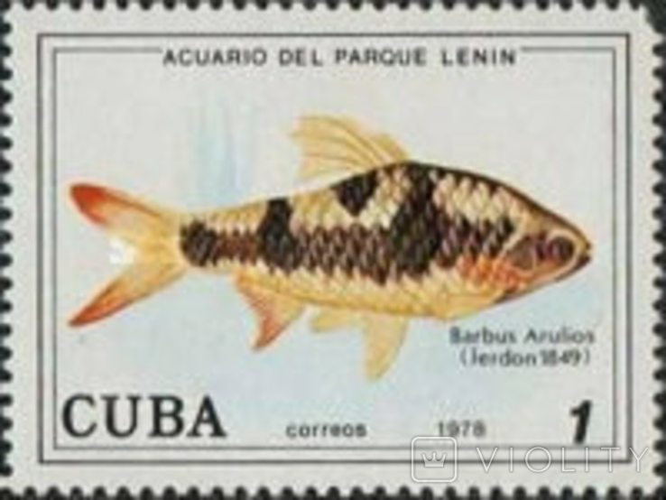 Куба 1978 аквариумные рыбы