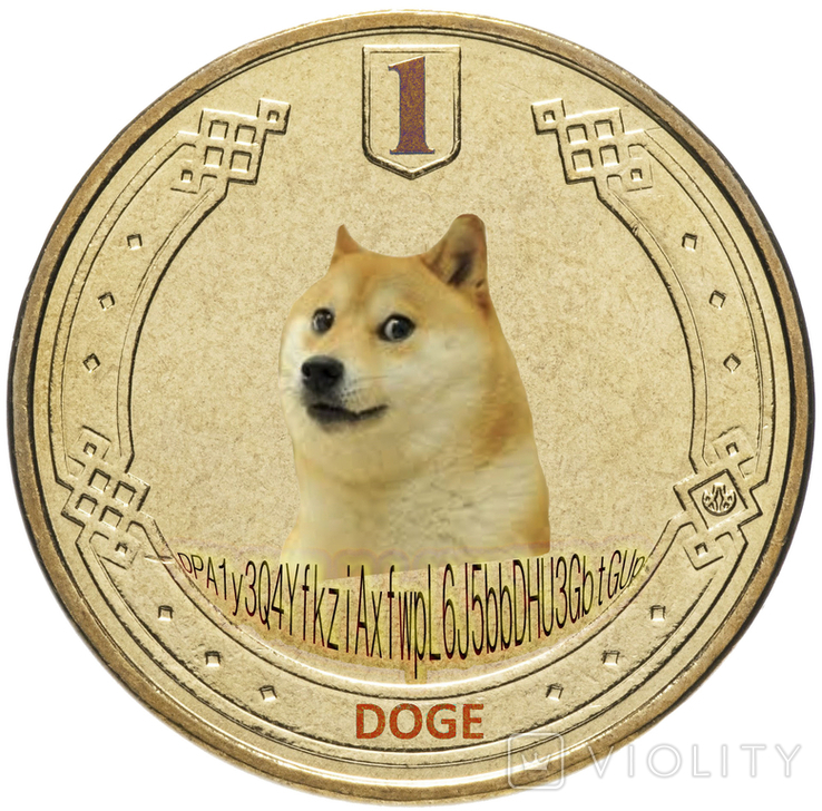 1 DOGECOIN