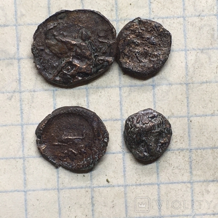 4 монеты Ольвии, фото №5
