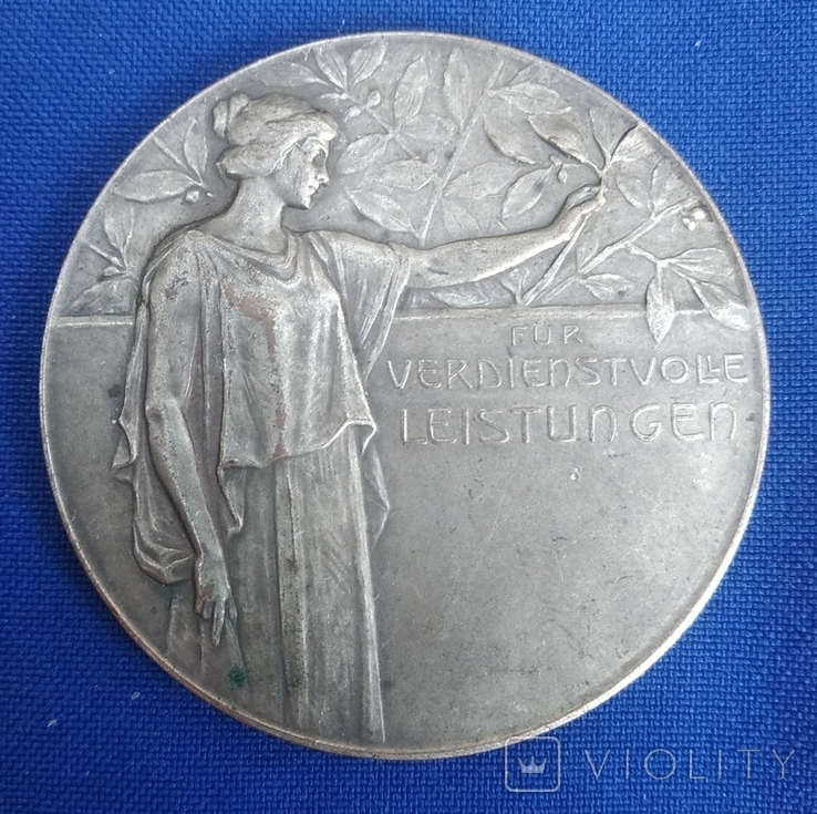 Настольная медаль 1905 год, фото №3
