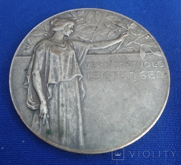 Настольная медаль 1905 год, фото №4
