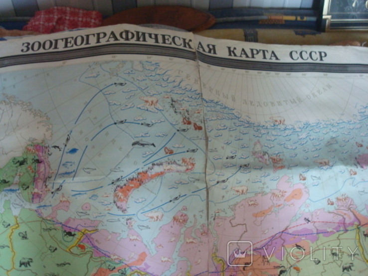 Зоогеографическая карта СССР 1976г. масштаб 1:5000 000, фото №3