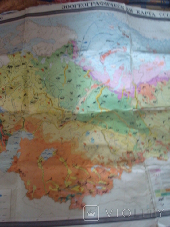 Зоогеографическая карта СССР 1976г. масштаб 1:5000 000, фото №6