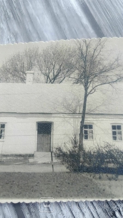 Соломенная хата. 1953-1965 годы., фото №3