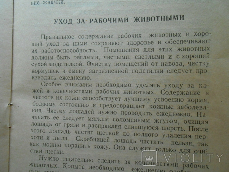 1947 г. Как подготовить и использовать живое тягло на севе 20 стр. Тираж 10000 (1327), фото №10