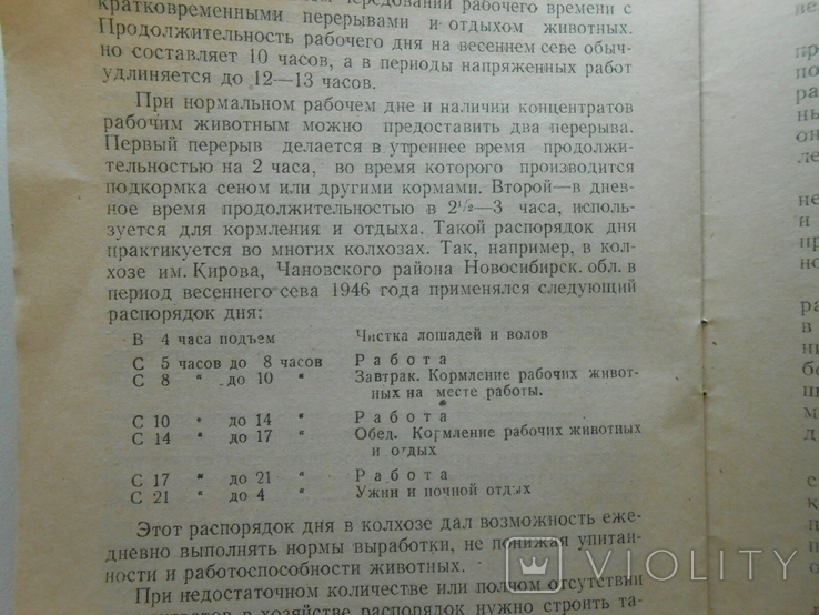 1947 г. Как подготовить и использовать живое тягло на севе 20 стр. Тираж 10000 (1327), фото №11