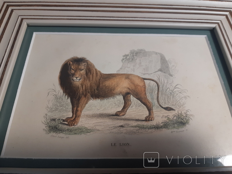 1840 Лев, фото №4