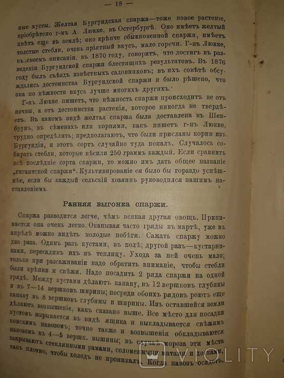 1906 Рациональное разведение спаржи, фото №11