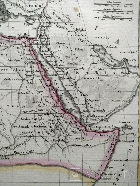 1812 Древняя Северная Африка (карта 34х25 Верже) СерияАнтик, фото №10