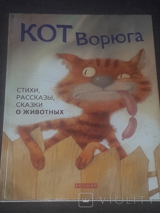 Анализ рассказа кот ворюга. Кот-ворюга книга. Обложка книжки кот ворюга Паустовский. Паустовский к. "кот-ворюга".