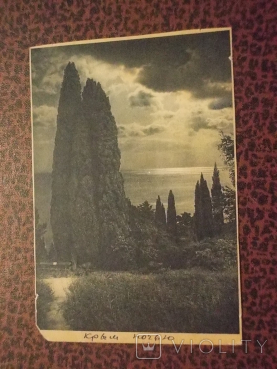 Крым.2 открытки.1929,1931 гг., фото №4