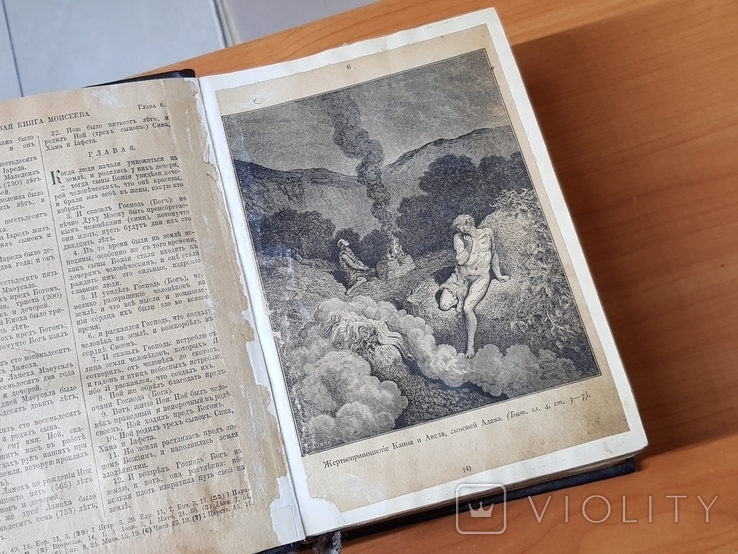 Библия Ветхий Завет 1917 год Иллюстрированная, фото №12