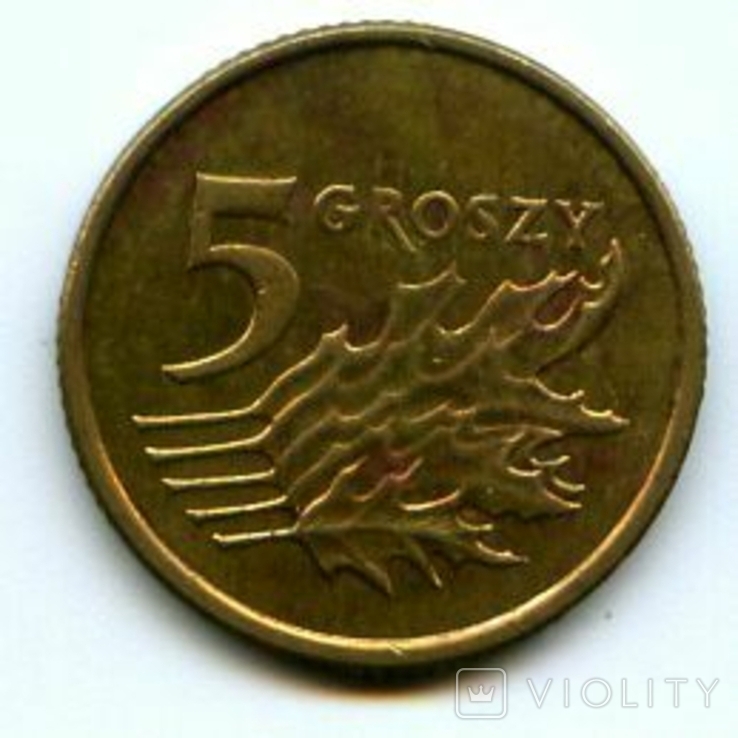 5 грошей 2003 #2, фото №2