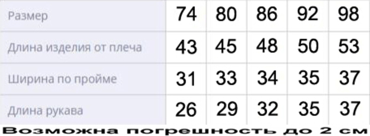 Зимове пальто з світловідбиваючої рефлективної тканини Bebi snizhynka 74 зріст 1044a74, numer zdjęcia 4