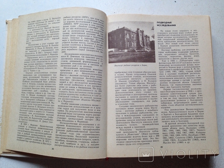 Чёрное море. Сборник. Коллектив авторов. Гидрометеоиздат, 1983 + Бонус (Знание, 1958)., фото №6