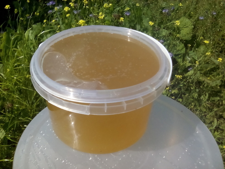 Мёд свежый 0.5, фото №2