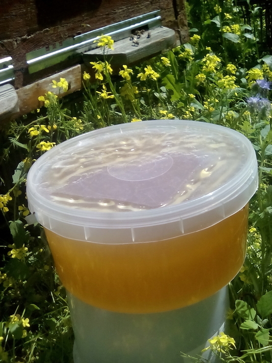 Мёд свежый 3 литра, фото №4