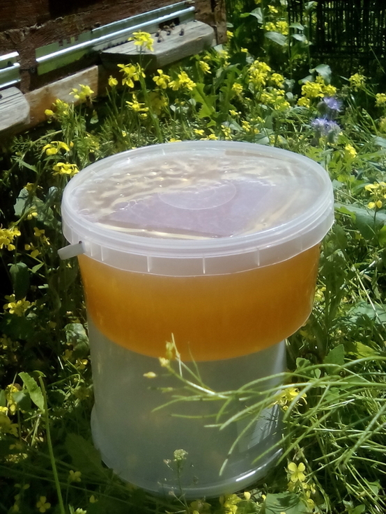Мёд свежый 3 литра, фото №6