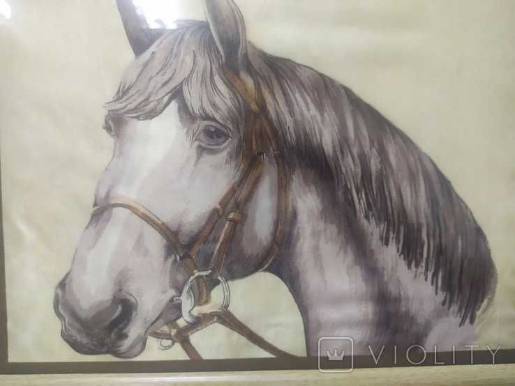 Картина коня. Шовк. Рама 22х31.5см, фото №3