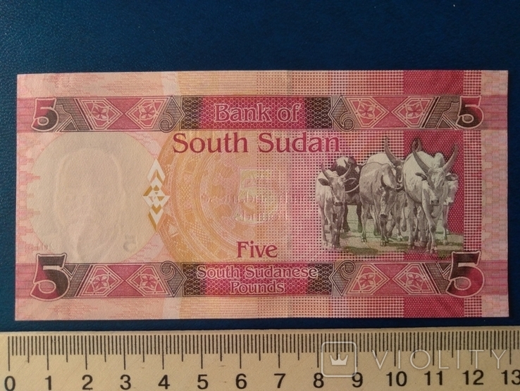 5 фунтов Южного Судана, фото №3