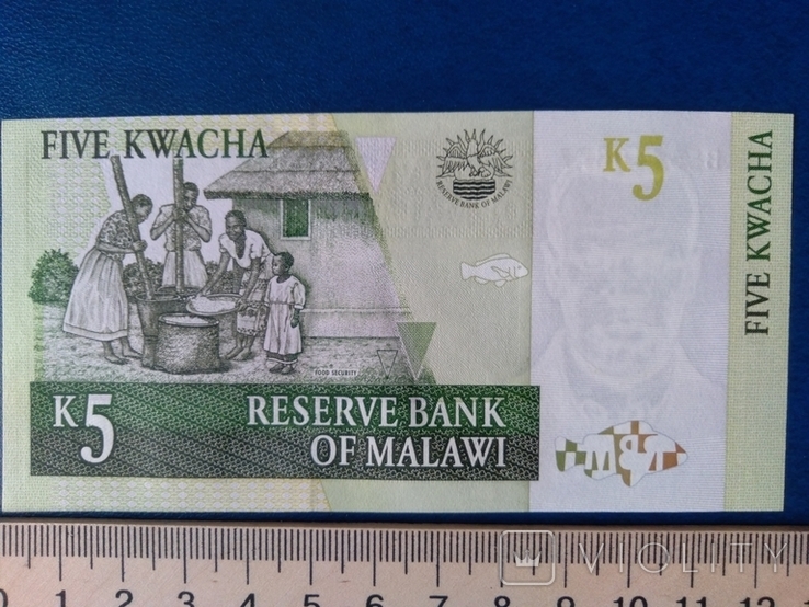 5 квач Малави, фото №3