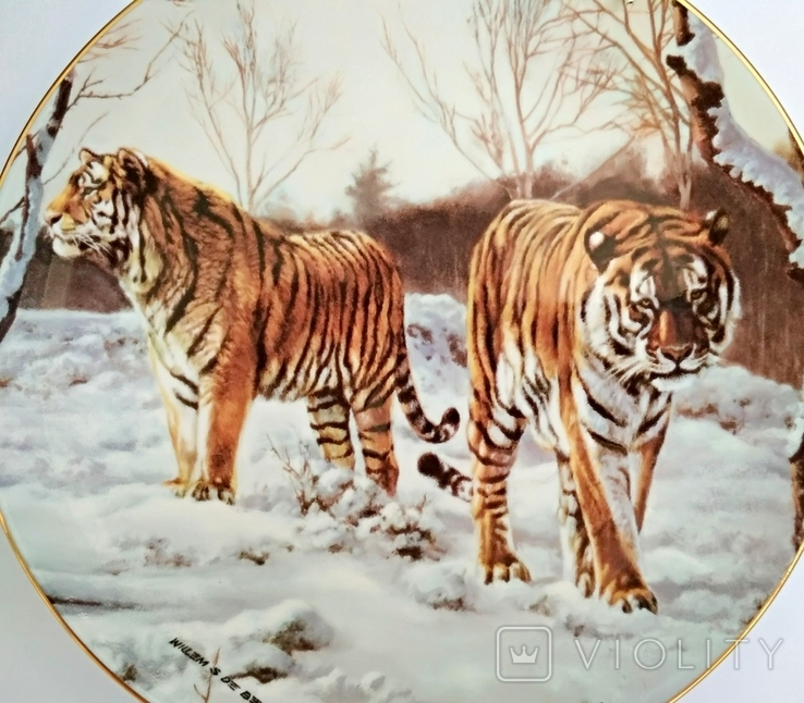 "Тигр. Тигры" красивая декоративная настенная тарелка Англия "Royal Doulton" фарфор, фото №3