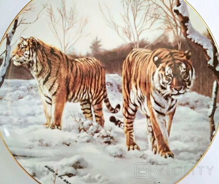 "Тигр. Тигры" красивая декоративная настенная тарелка Англия "Royal Doulton" фарфор, фото №4
